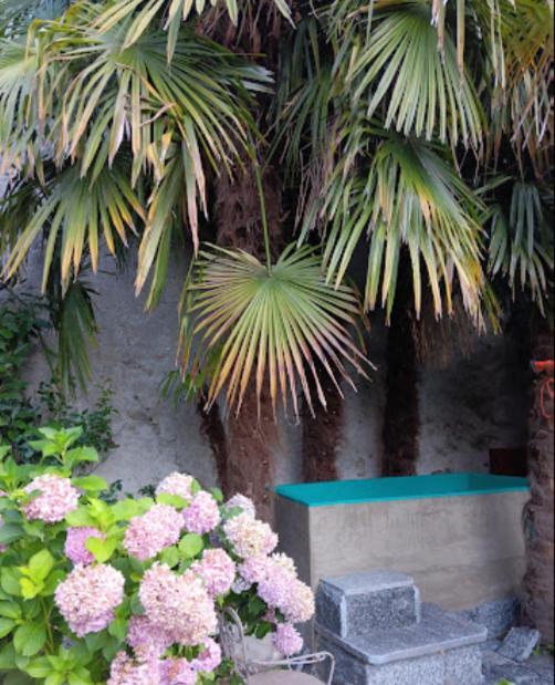 Appartement Casa Belgeri Dongio Exterior photo